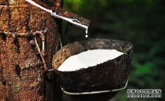 橡膠上漲仍可期，焦炭期現(xiàn)聯(lián)動(dòng)，向